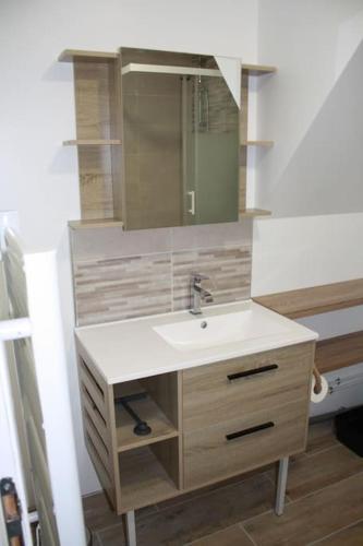 une salle de bain avec un lavabo et un miroir dans l'établissement La maisonnette de Jean BAR à Thun-Saint-Martin, à Thun-Saint-Martin