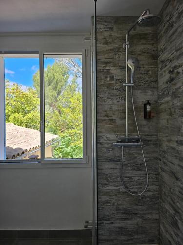 a shower in a bathroom with a window at La Luberonne in Lourmarin