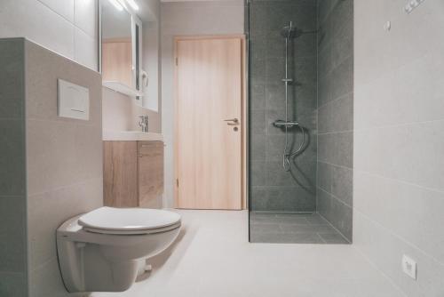 a bathroom with a toilet and a shower at Podlipnik Apartments in Rateče