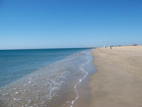 Charmant appartement en centre-ville