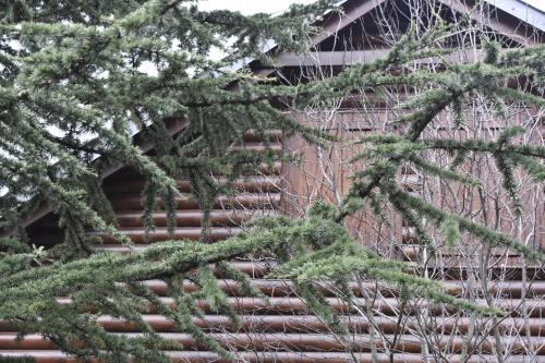 Фотография из галереи Casa Di Lemnu - Ξυλόσπιτο στο Ματσούκι Βορείων Τζουμέρκων в городе Matsoúkion