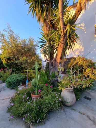 Villa Mané photo 8