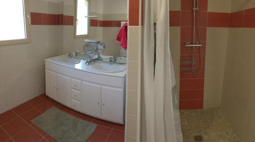 une salle de bain avec un lavabo et une douche dans l'établissement Gîte la Baronnière (les Cauffours), à Castels