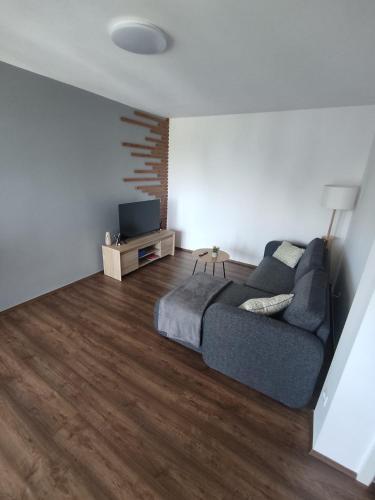 a living room with a couch and a television at Apartman Lamarti in Samobor