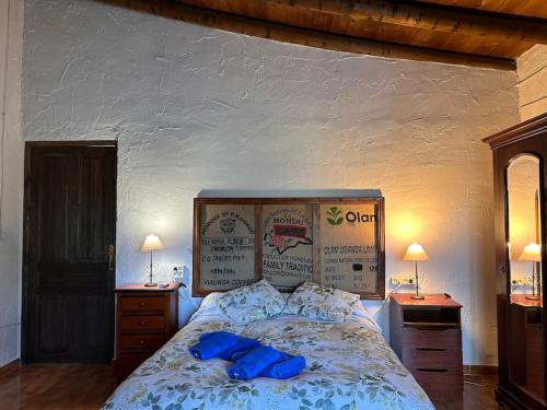 sypialnia z łóżkiem z niebieskimi poduszkami w obiekcie Casa Rural Navalonguilla con piscina w mieście Santa Olalla del Cala