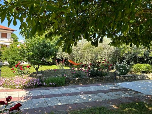 a garden with a bunch of flowers and plants at Zeusplace Magic Villa in Aigínion