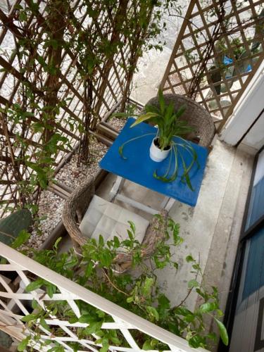 an overhead view of a table with a plant on it at La Dimora del Viaggiatore Luxury Apartments in Mazara del Vallo