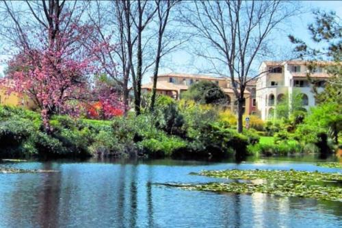 ein Teich mit Seerosen im Wasser mit Gebäuden in der Unterkunft Duplex T3 avec jardin, bord de mer et parking in Six-Fours-les-Plages