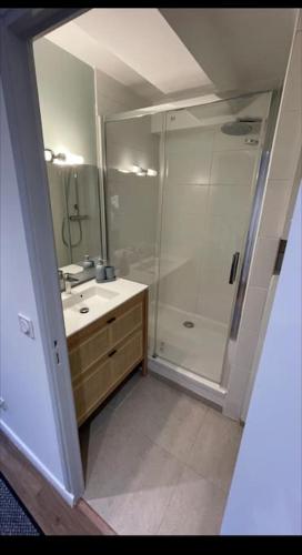 une salle de bain avec douche et lavabo dans l'établissement Duplex T3 avec jardin, bord de mer et parking, à Six-Fours-les-Plages