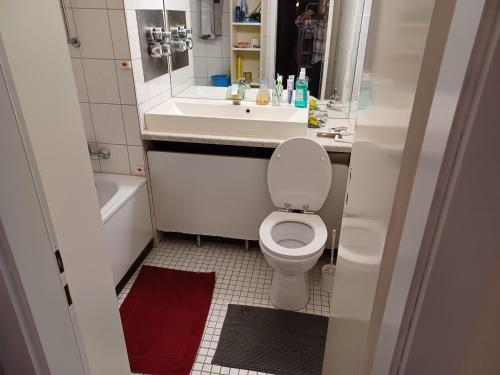 30 qm komfort wohnung في كولونيا: حمام صغير مع مرحاض ومغسلة