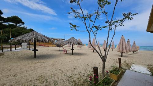 uma praia com guarda-sóis e cadeiras e o oceano em Hotel Cerrano em Silvi Marina