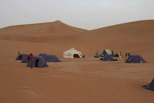 a group of tents in the middle of a desert at Mhamid Tours berbère in Mhamid