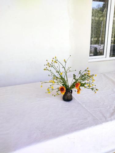 Gallery image of Grandmother Naziko in Vani