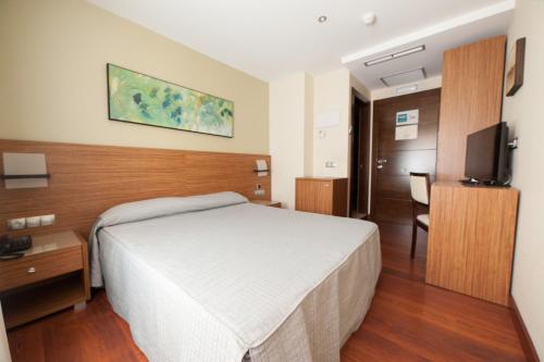 a bedroom with a bed and a flat screen tv at Hotel Restaurante Canzana in Pola de Laviana