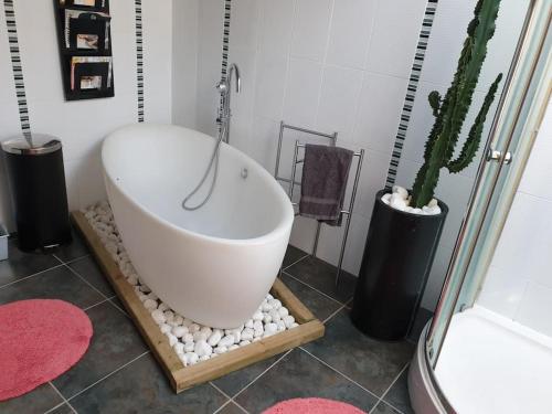 une baignoire dans une salle de bain avec un cactus dans l'établissement BELLE MAISON BRETONNE TYPIQUE PRES DE LA PLAGE, à Erdeven
