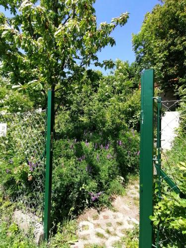 a green fence with a tree behind it at Barkóca és Szépkilátás Vendégház / Cabin in Kismaros