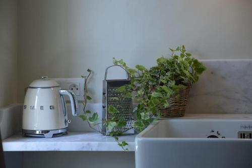 a kitchen counter with a tea kettle and a sink at La loge familiale: 110m2, place rose goudard, AC in LʼIsle-sur-la-Sorgue