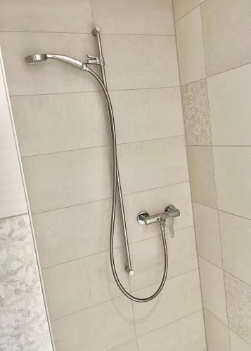 a shower with a shower head in a bathroom at Le Petit Observatoire in Chardonne
