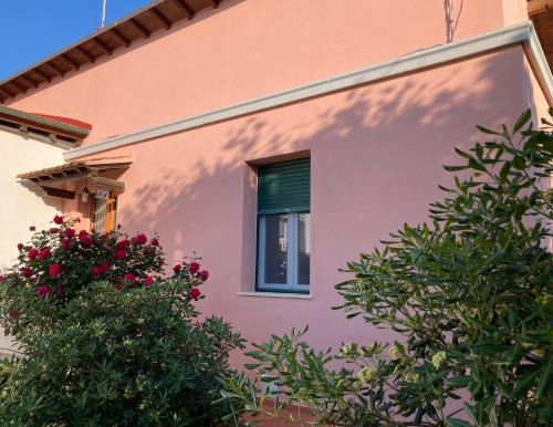 a pink building with a window with a green shutter at Casa Rina in Livorno