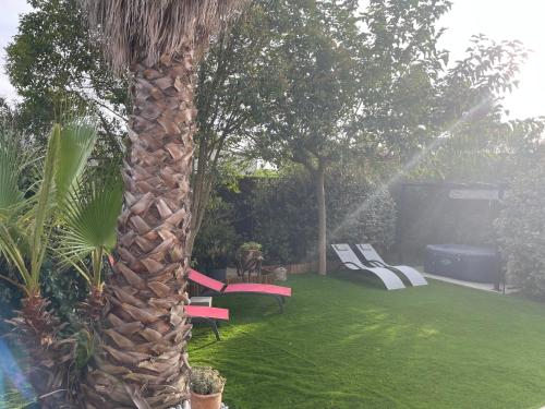 a palm tree in a garden with a group of chairs at Mazet des Orchidées - Gîte 4 personnes 50 m2 - Jardin, spa privé - indépendant - stationnement privé in Servian