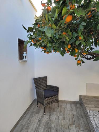 a chair in a room with a tree with oranges at CASA DEGLI ARANCI, smart work wifi garden terrace in Monteroni di Lecce