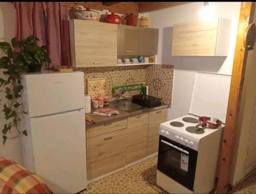 a small kitchen with a stove and a refrigerator at Planinska kuca in Rap