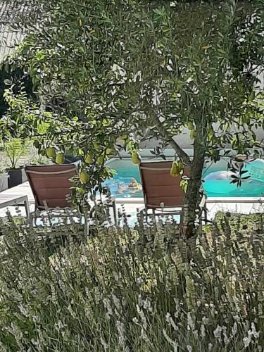 deux chaises et un arbre devant une table dans l'établissement Le Clos du Puits, à Courbillac