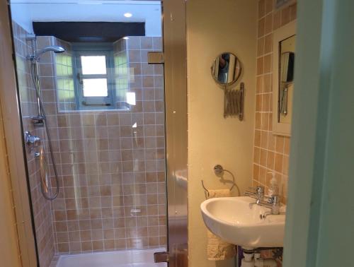 bagno con lavandino e doccia di West Huckham Barn a Dulverton