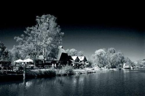 a black and white photo of a house next to a lake at Appartement in Plau Am See mit Garten und Grill in Plau am See