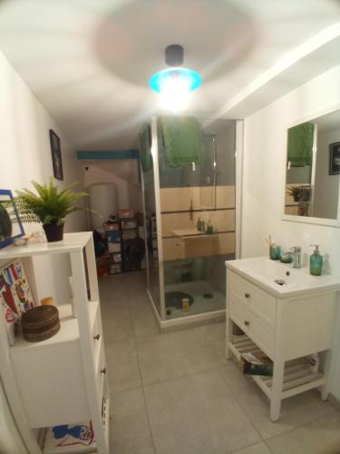 une salle de bain avec un lavabo et un miroir dans l'établissement Deux pièces, à Six-Fours-les-Plages