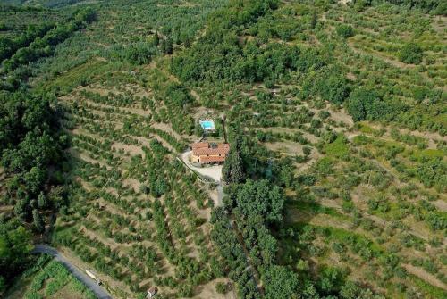 eine Luftansicht eines Hauses inmitten eines Waldes in der Unterkunft Ferienhaus in Monsummano Terme mit Privatem Pool in Montevettolini