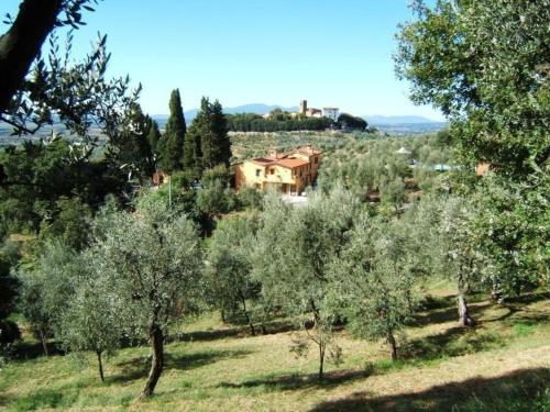 ein Feld von Bäumen mit einem Haus im Hintergrund in der Unterkunft Ferienhaus in Monsummano Terme mit Privatem Pool in Montevettolini