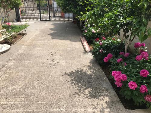 Un jardín fuera de Apartment K2