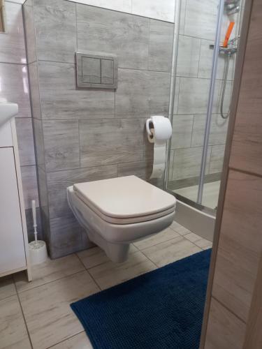 uma casa de banho com um WC e um chuveiro em Pokoje gościnne u Anka Reszel em Reszel