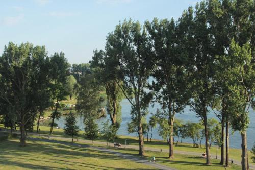 a park with trees and a body of water at Kuredu / Uroa w Krainie Alicji in Ełk
