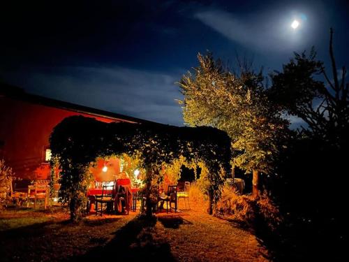 a garden with a pergola with a table and chairs at Poggio la Luna - La casa nel vigneto in Montemerano
