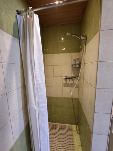 a shower with a shower curtain in a bathroom at Namelis Rugilė in Druskininkai