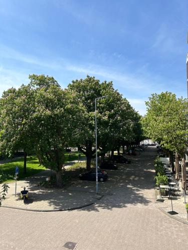een straat met bomen in een park bij Apartment Heart of Rotterdam in Rotterdam
