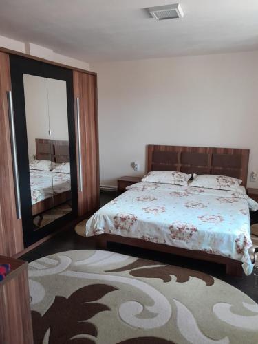 - une chambre avec un lit et un grand miroir dans l'établissement Casa Matei, à Sighetu Marmaţiei