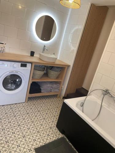 une salle de bain avec une machine à laver et un lavabo dans l'établissement Maison bord de Loire, à Saint-Clément-des-Levées