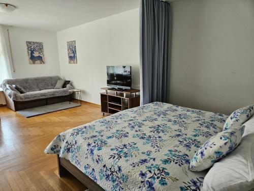 1 dormitorio con 1 cama y TV de pantalla plana en Miky Home, en Calw