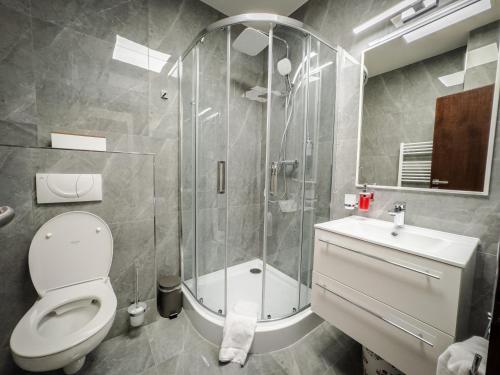 a bathroom with a shower and a toilet and a sink at Rezidencia Levočský Pivovar in Levoča