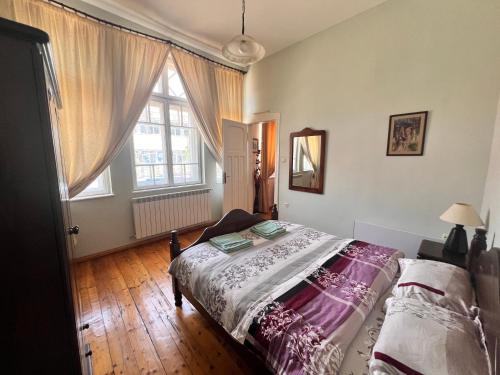 a bedroom with a bed and a large window at Albert Guest House in Ruse