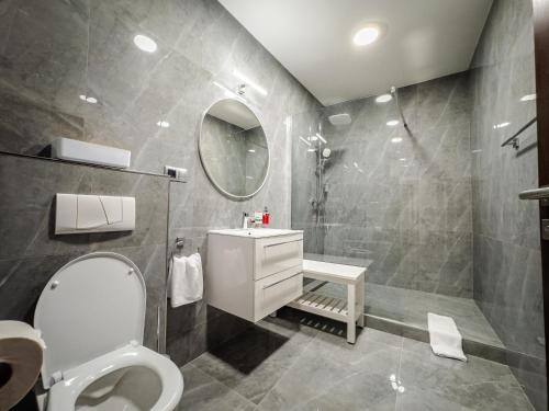 a bathroom with a toilet and a sink and a mirror at Rezidencia Levočský Pivovar in Levoča