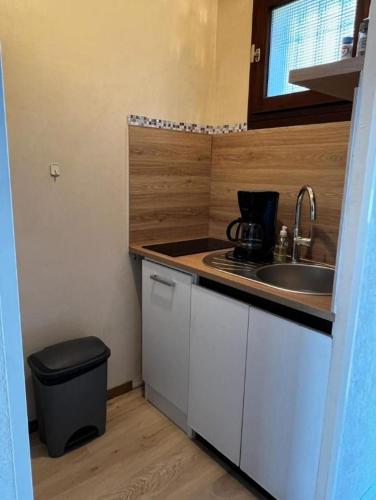 - une petite cuisine avec évier et poubelle dans l'établissement BEAULIEU T1BIS wifi parking 200m des thermes, à Cazaubon