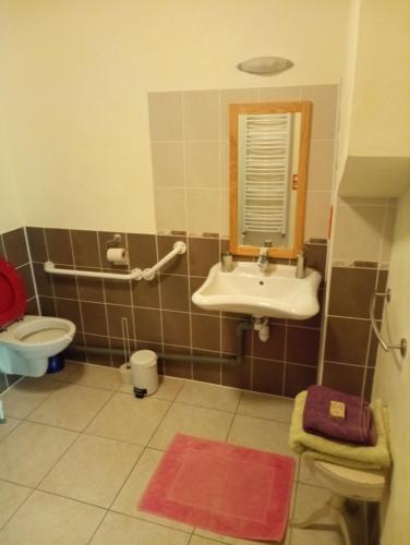 een badkamer met een wastafel en een toilet bij Noyers du Soleil, Chambre d'hôte avec petit déjeuner à proximité de Gap in La Bâtie-Vieille