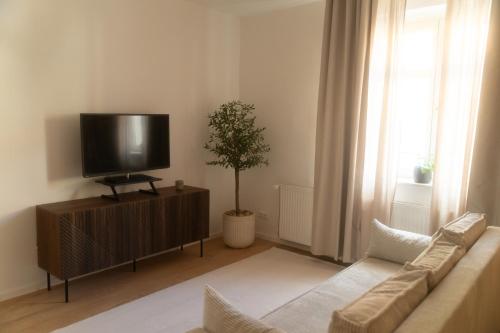 a living room with a couch and a tv at Modernes Altstadt Apartment in Bad Belzig