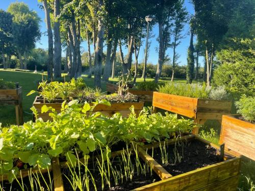 a garden with several wooden boxes filled with plants at Hotel Pavillon Du Zoute in Knokke-Heist