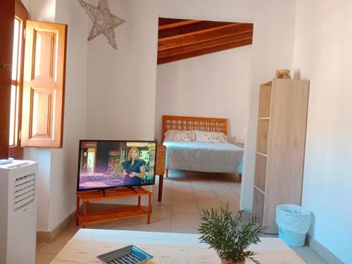 een woonkamer met een tv en een bed bij La Milotxa in Adsubia