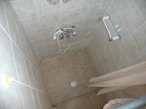 a shower with a shower head in a bathroom at Elia Apartments in Oreoi